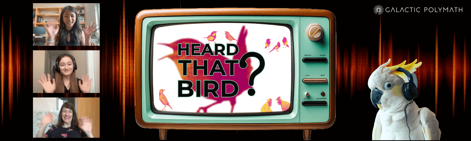 Heard That Bird banner